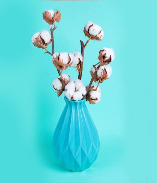 Pale Harvest